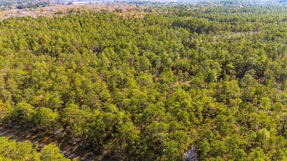 39 Sportsman Retreat Road Onalaska, TX 77360