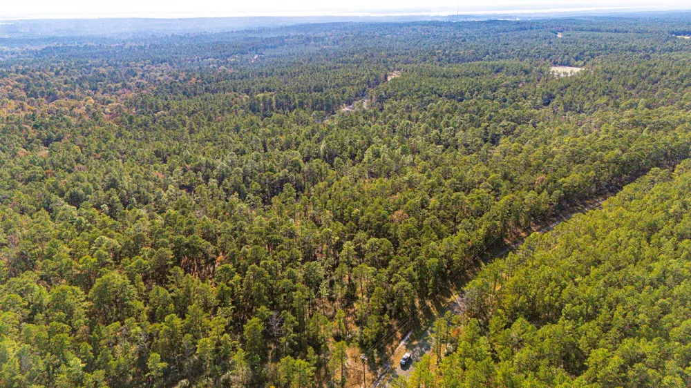 39 Sportsman Retreat Road Onalaska, TX 77360