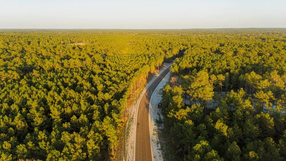 39 Sportsman Retreat Road Onalaska, TX 77360