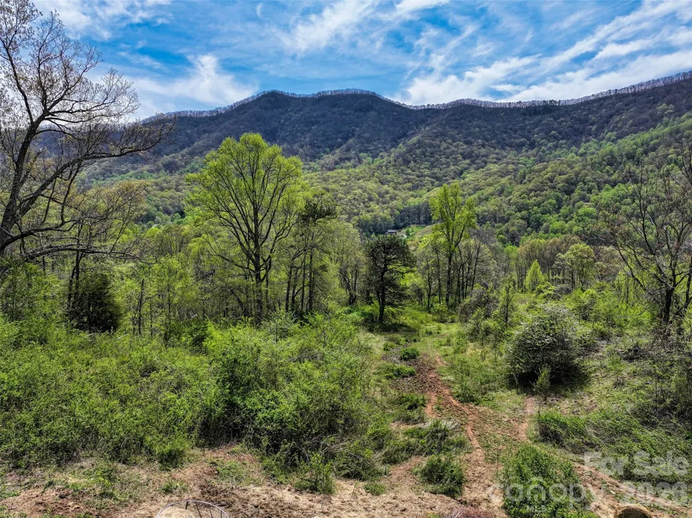 1567 Newfound Road Leicester, NC 28748
