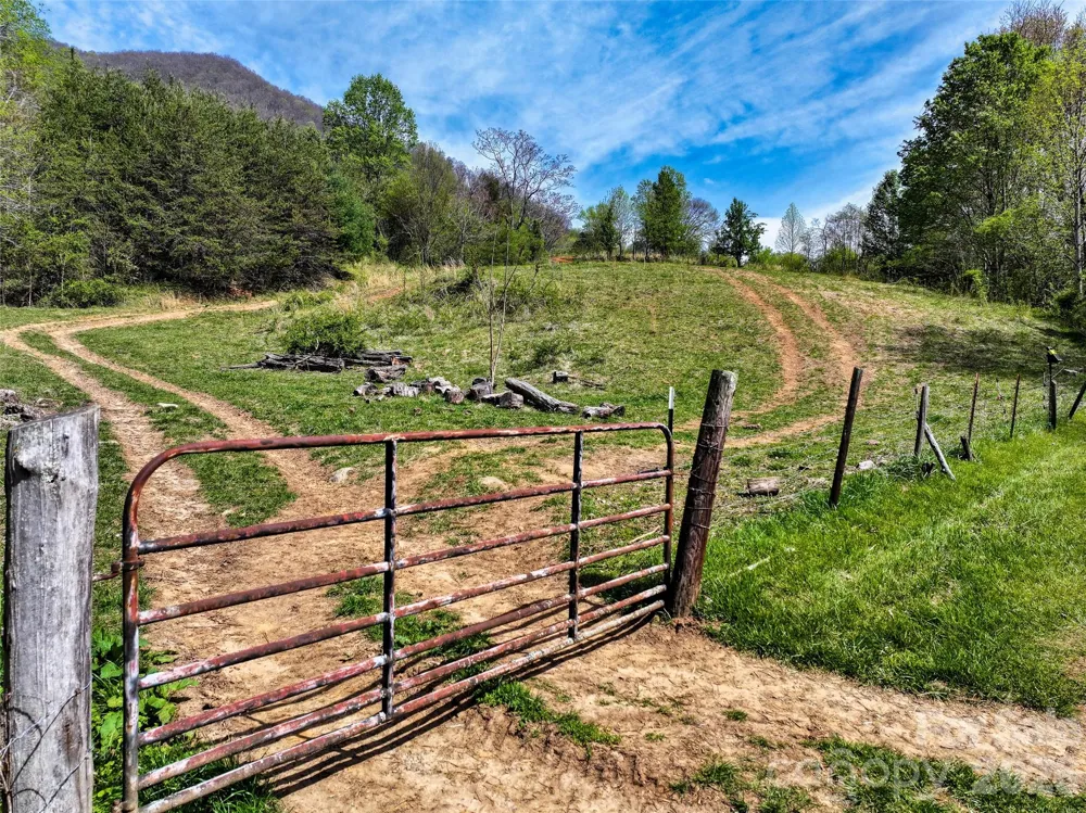1567 Newfound Road Leicester, NC 28748