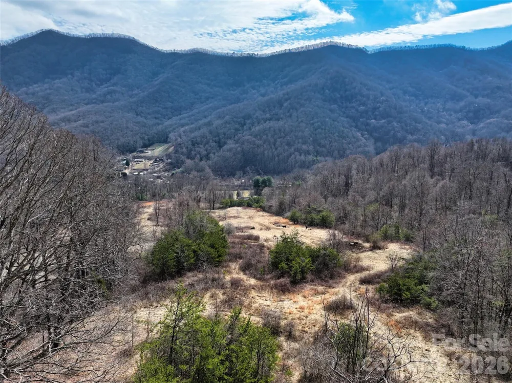 1567 Newfound Road Leicester, NC 28748
