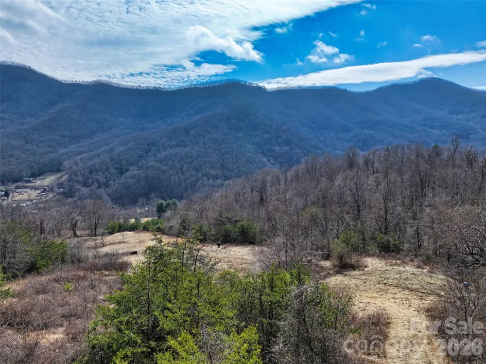 1567 Newfound Road Leicester, NC 28748