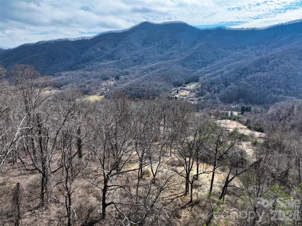 1567 Newfound Road Leicester, NC 28748