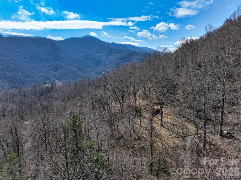 1567 Newfound Road Leicester, NC 28748