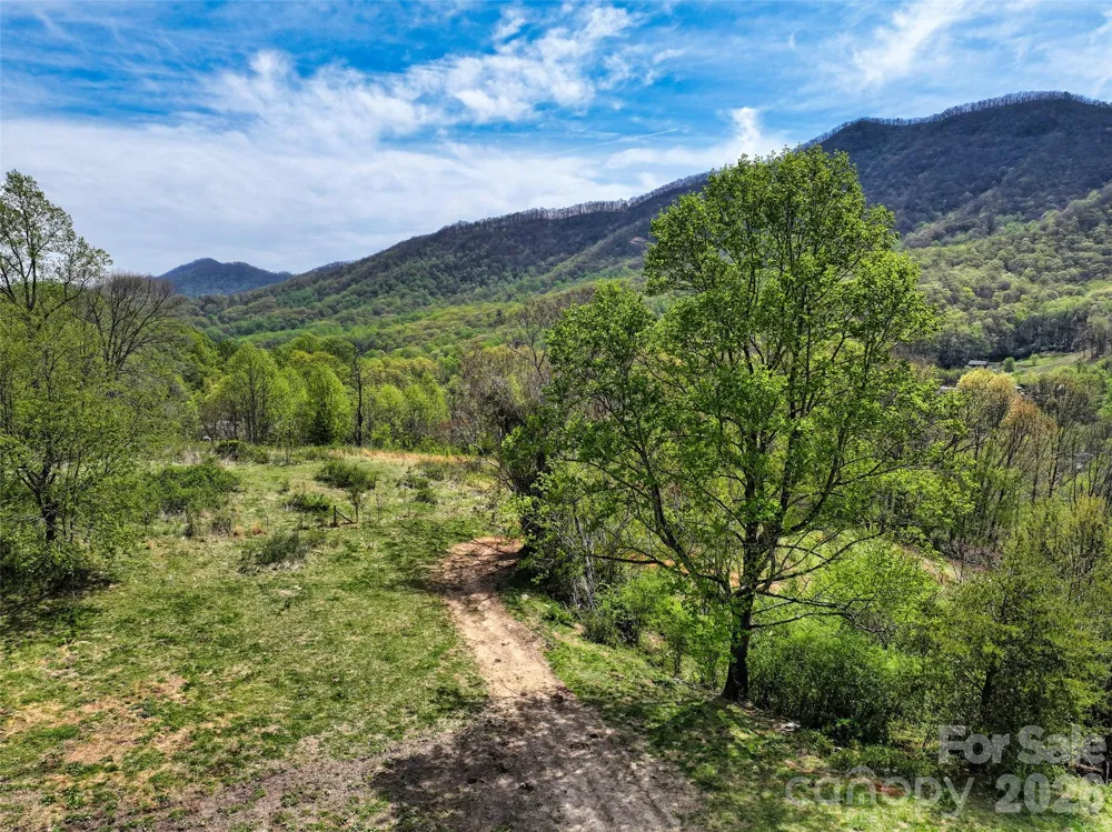 1567 Newfound Road Leicester, NC 28748