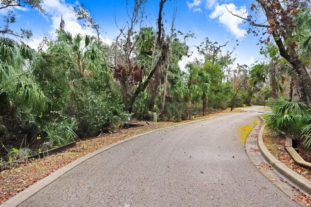 4868 RAMBLING RIVER ROAD Brandon, FL 33511
