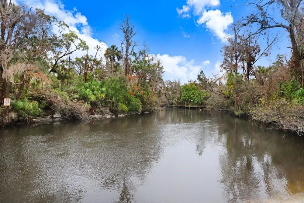 4868 RAMBLING RIVER ROAD Brandon, FL 33511