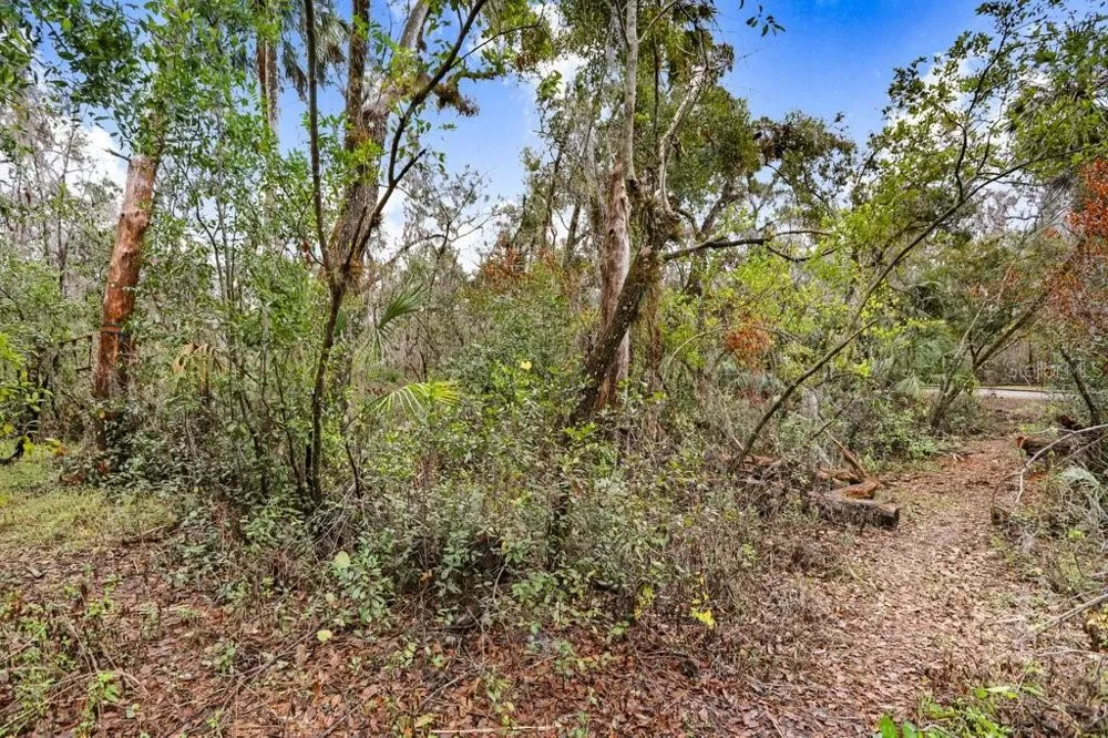 4868 RAMBLING RIVER ROAD Brandon, FL 33511