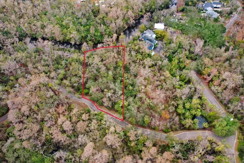 4868 RAMBLING RIVER ROAD Brandon, FL 33511