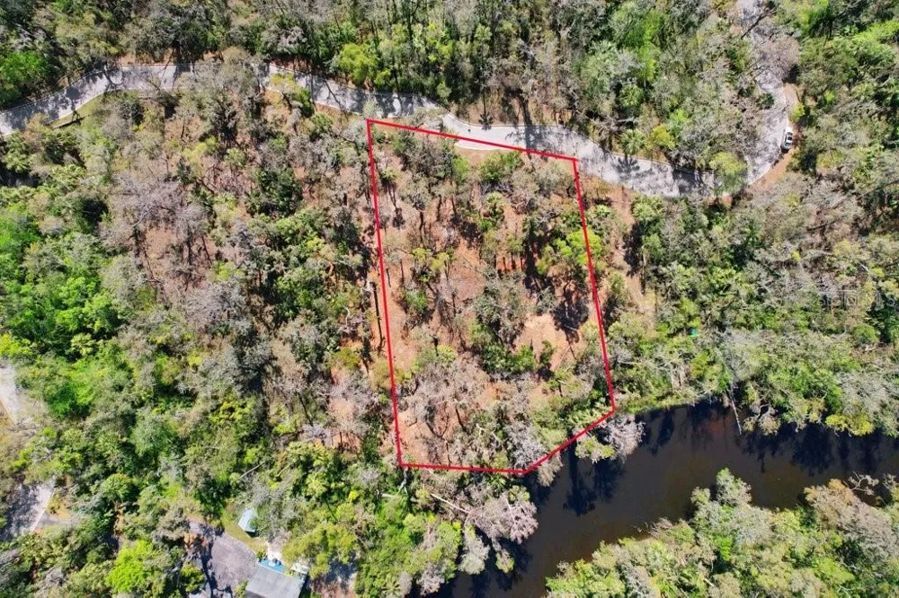 4868 RAMBLING RIVER ROAD Brandon, FL 33511
