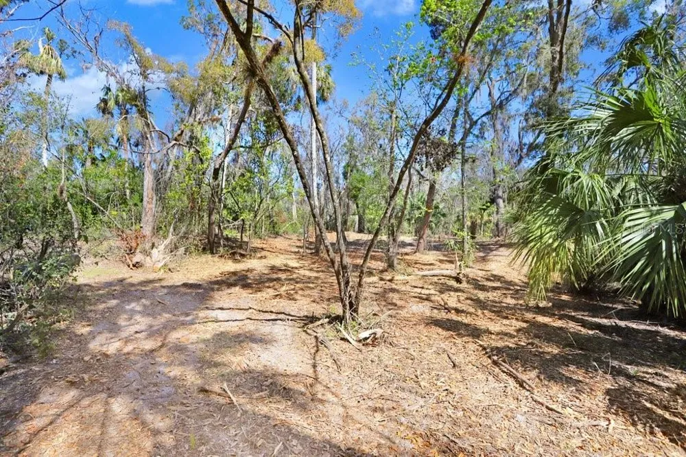 4868 RAMBLING RIVER ROAD Brandon, FL 33511