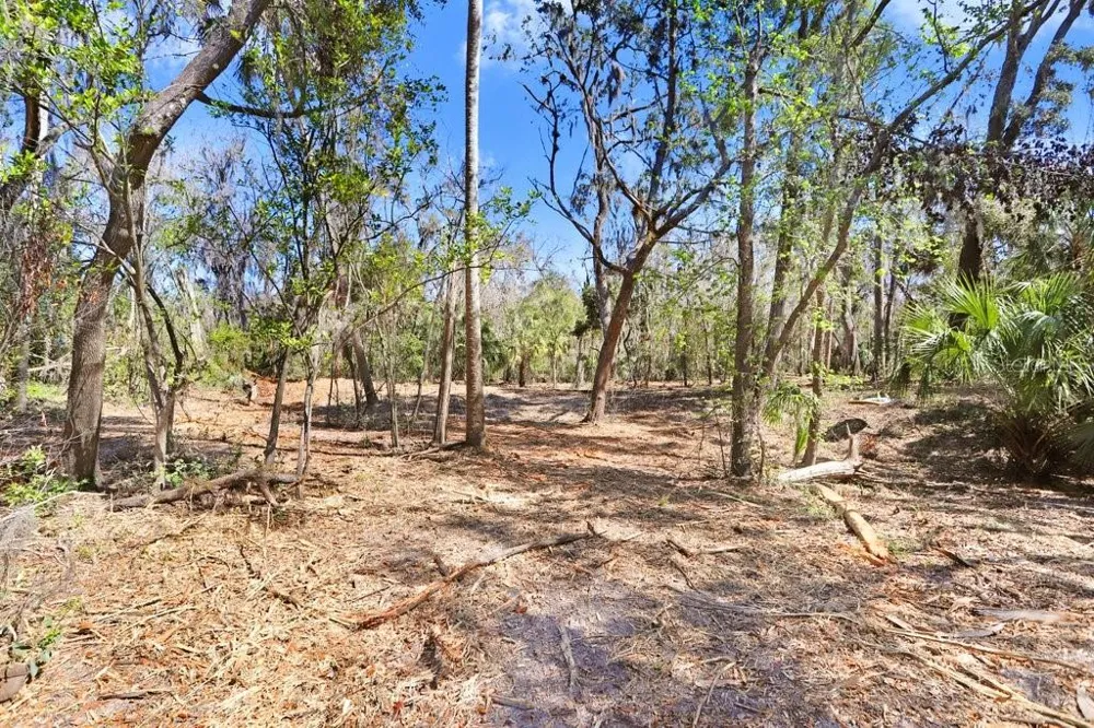 4868 RAMBLING RIVER ROAD Brandon, FL 33511