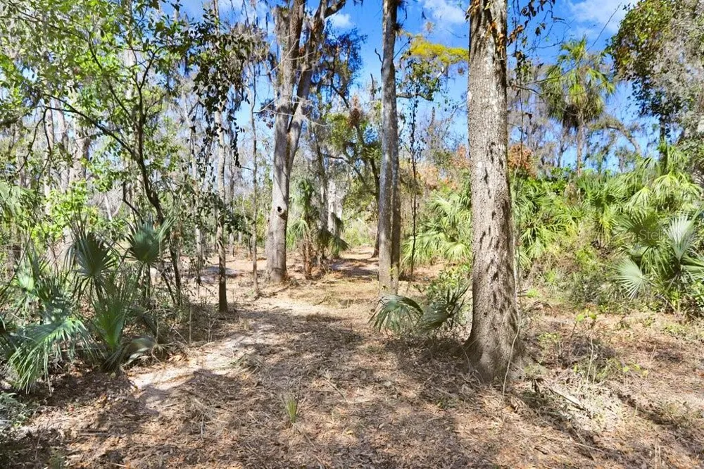 4868 RAMBLING RIVER ROAD Brandon, FL 33511