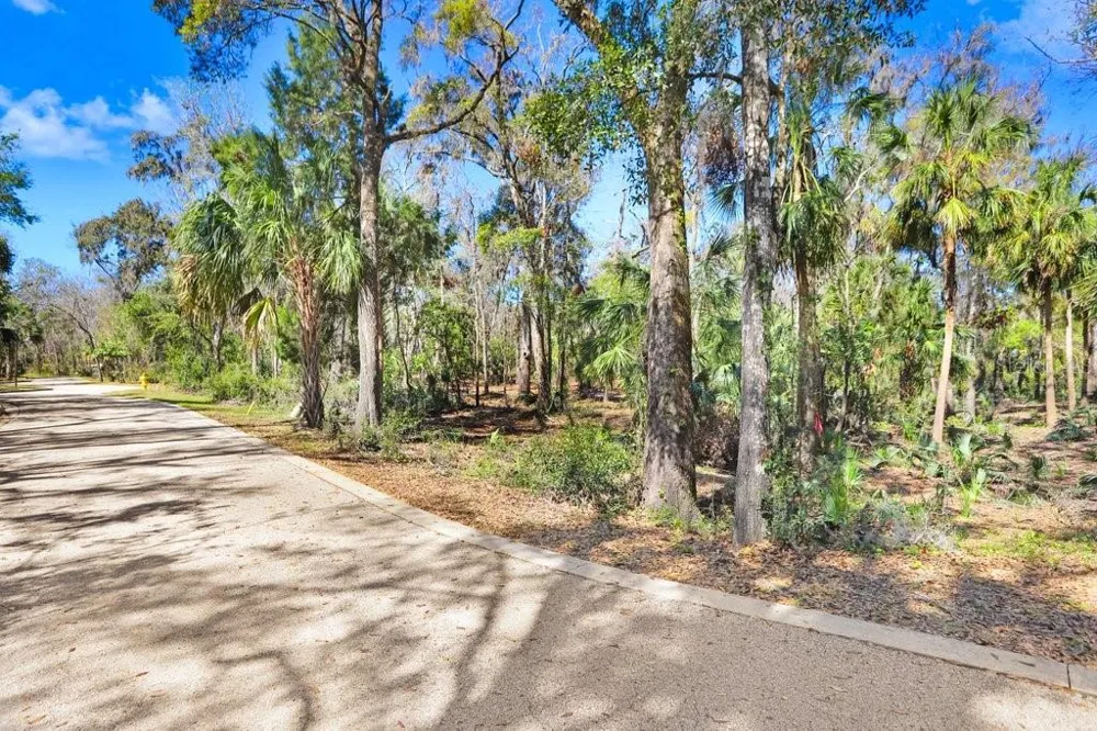 4868 RAMBLING RIVER ROAD Brandon, FL 33511
