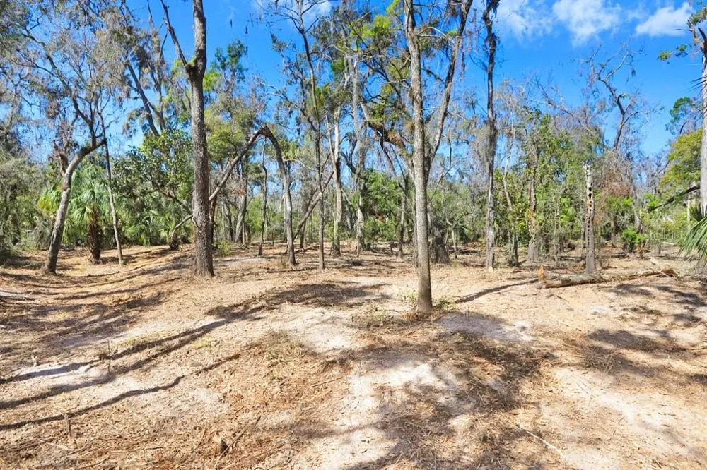 4868 RAMBLING RIVER ROAD Brandon, FL 33511