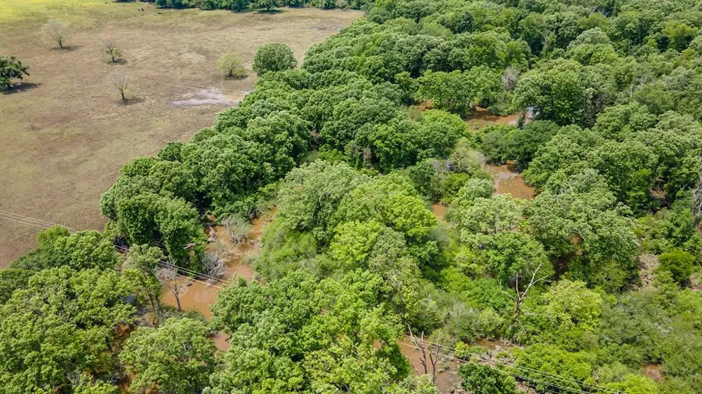 FM 314 Brownsboro, TX 75756