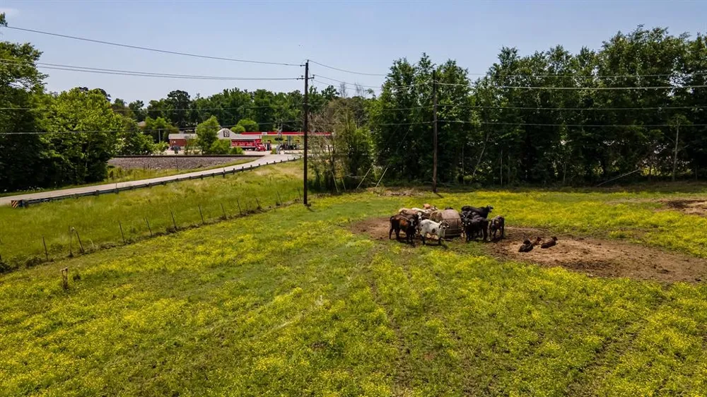 FM 314 Brownsboro, TX 75756