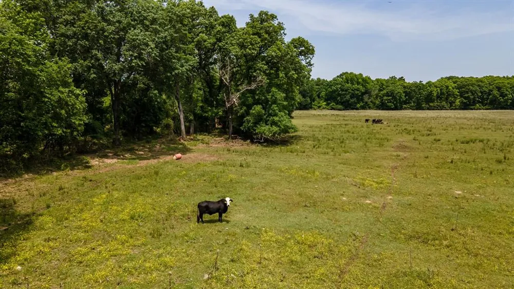 FM 314 Brownsboro, TX 75756