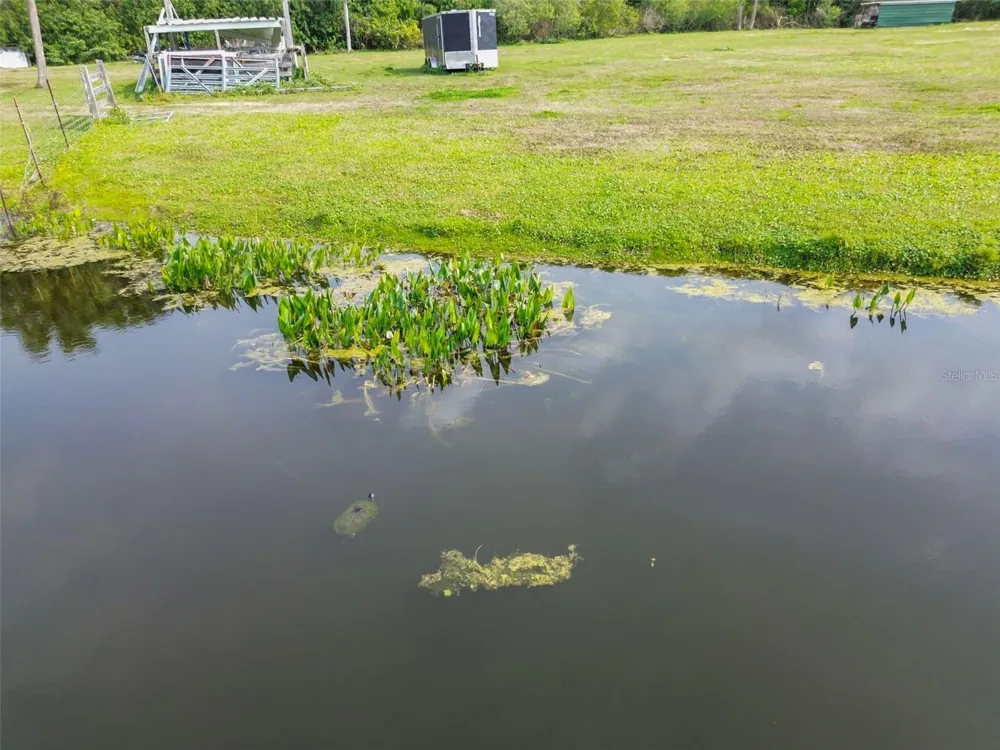KIBLER LN Holiday, FL 34691