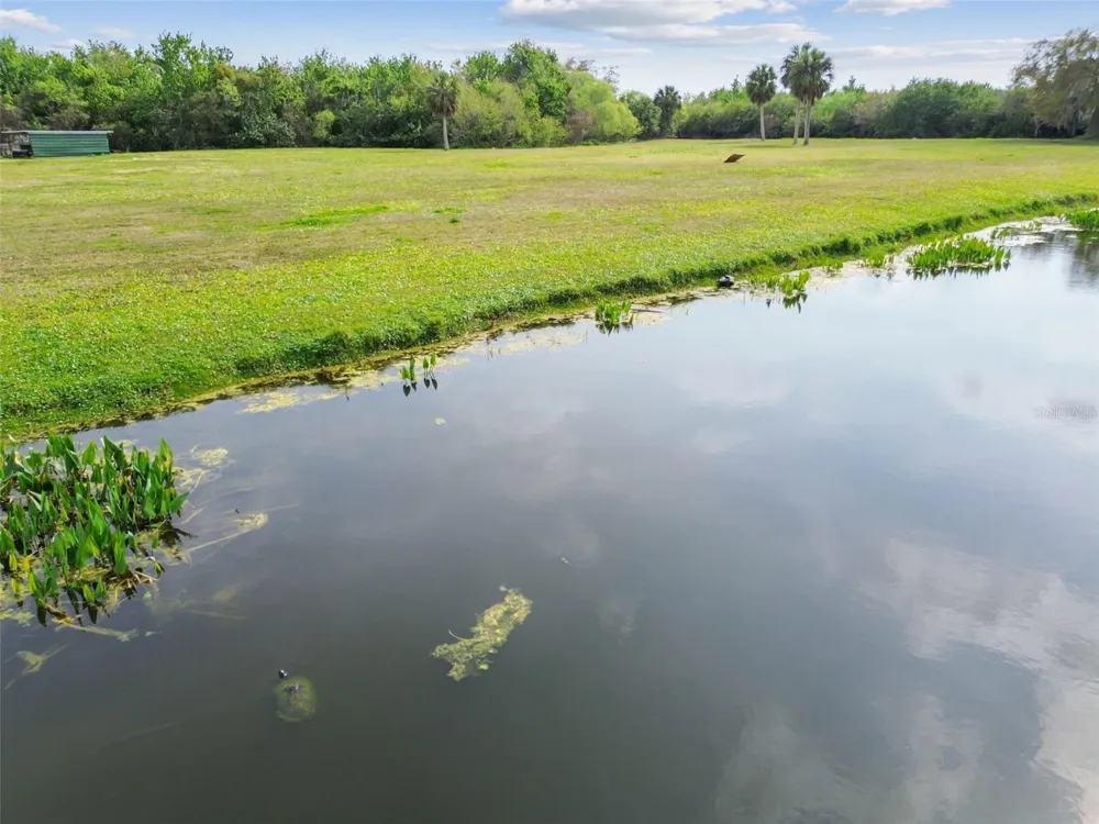 KIBLER LN Holiday, FL 34691