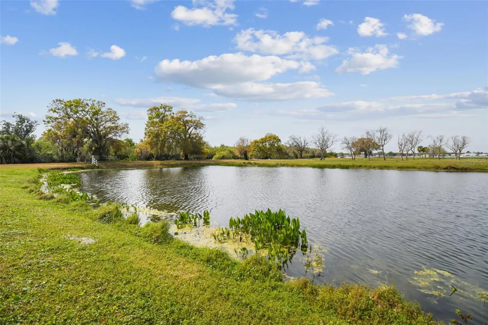 KIBLER LN Holiday, FL 34691