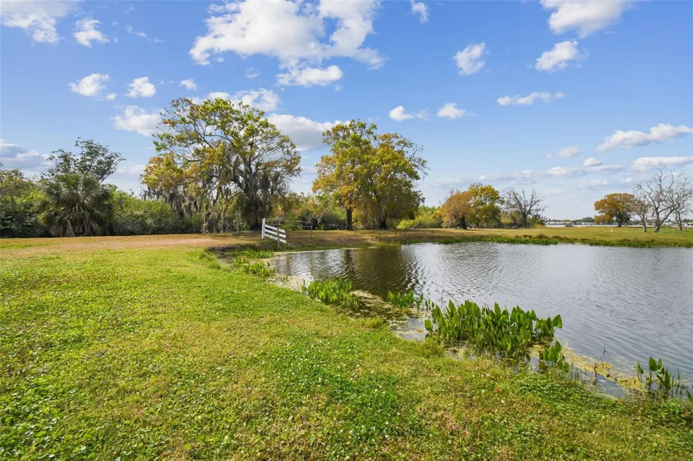 KIBLER LN Holiday, FL 34691