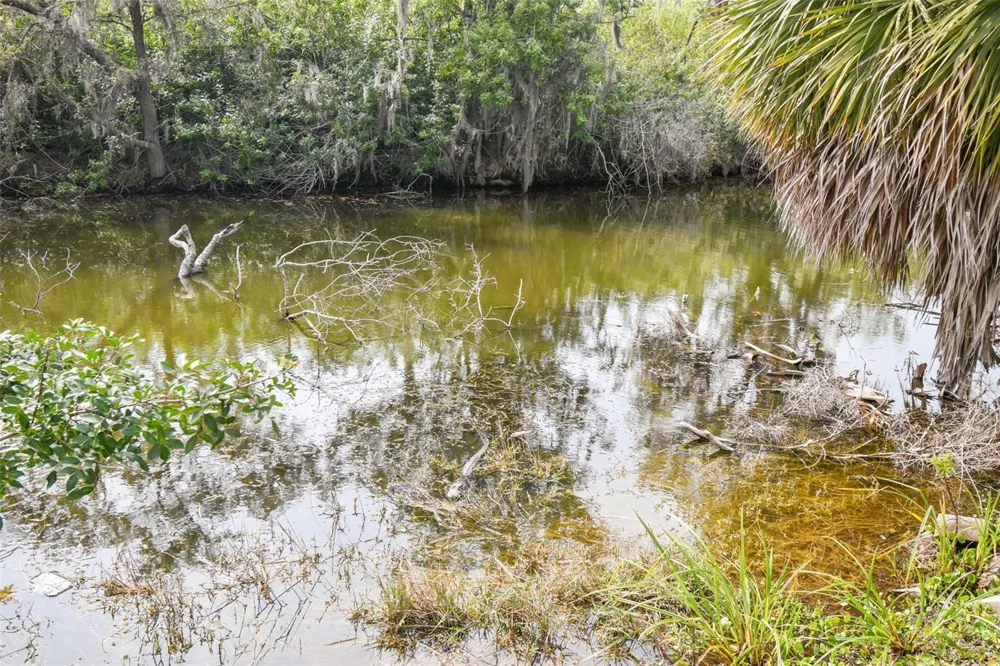 KIBLER LN Holiday, FL 34691