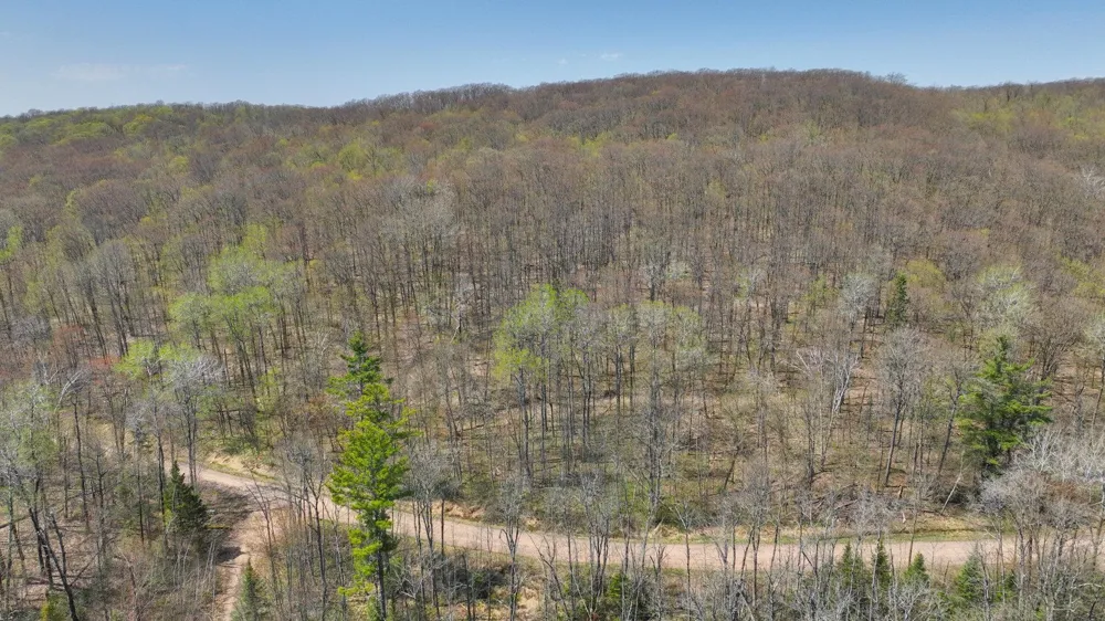 3.91 Acres Gueldner Lane Exeland, WI 54835