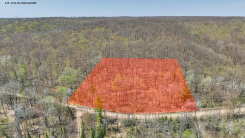 3.91 Acres Gueldner Lane