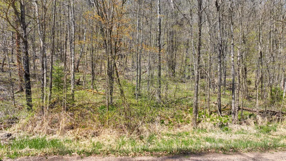 3.91 Acres Gueldner Lane Exeland, WI 54835