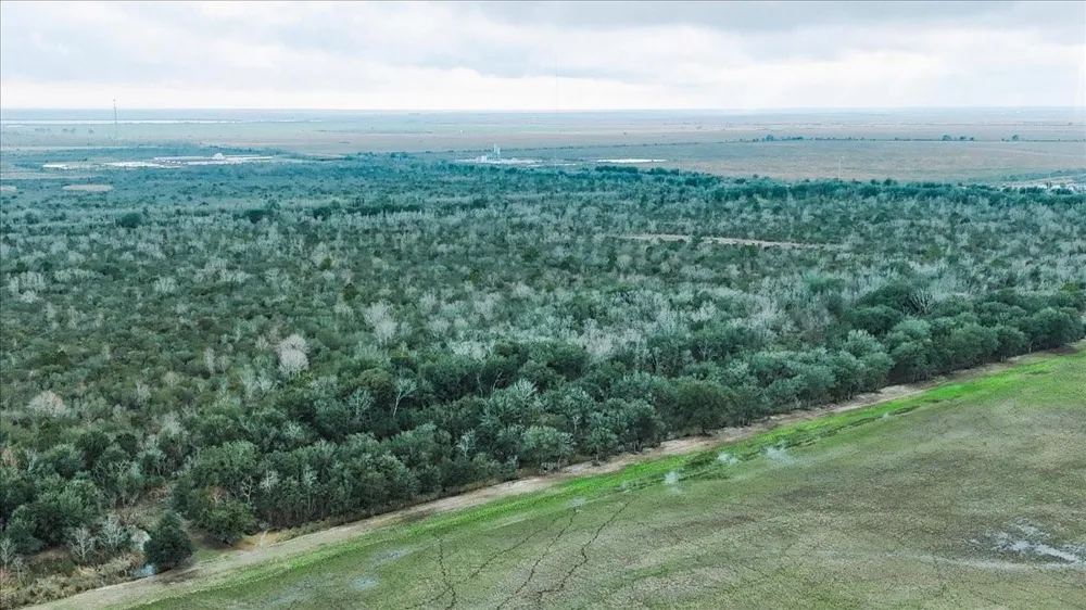 Hwy 124 Stowell, TX 77661