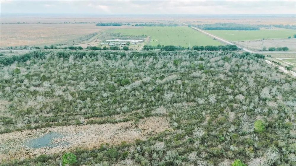 Hwy 124 Stowell, TX 77661