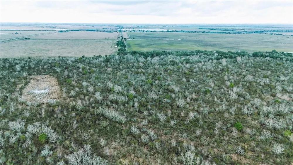Hwy 124 Stowell, TX 77661