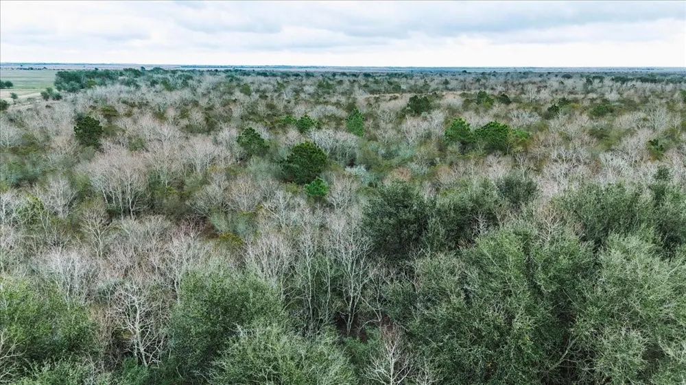 Hwy 124 Stowell, TX 77661