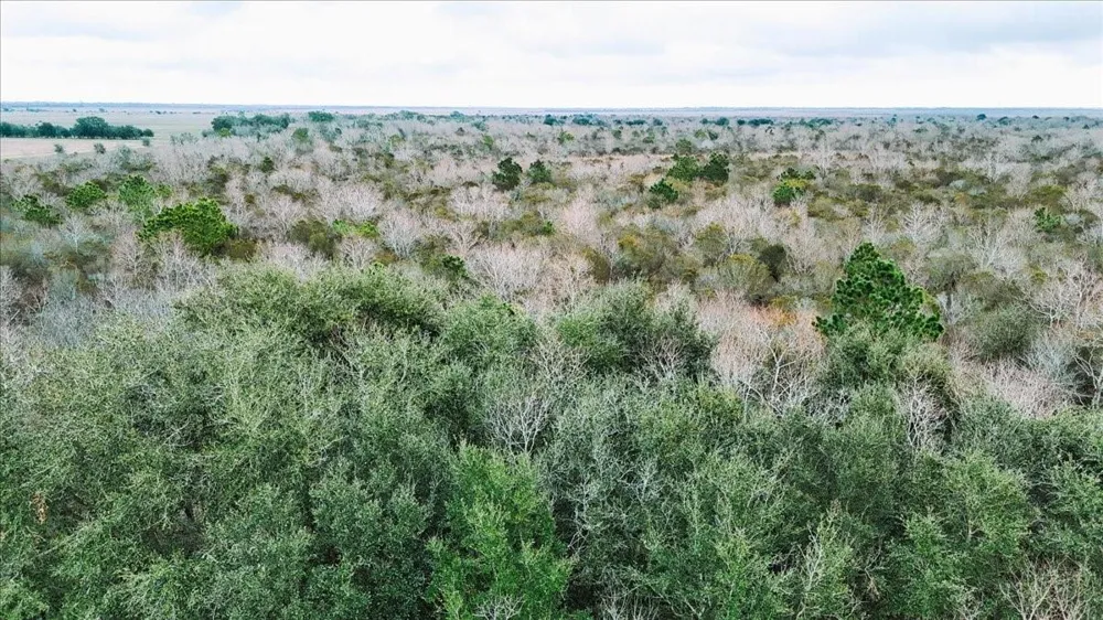 Hwy 124 Stowell, TX 77661