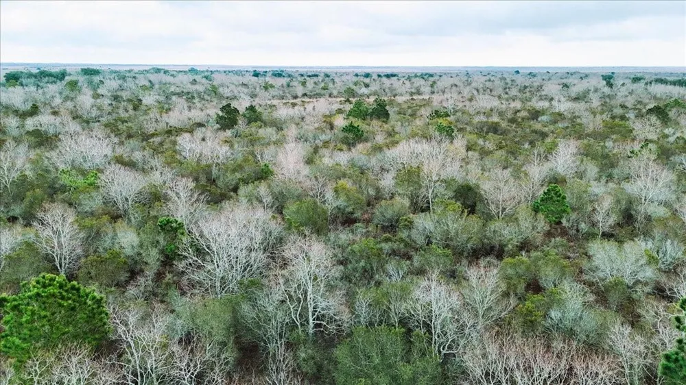 Hwy 124 Stowell, TX 77661