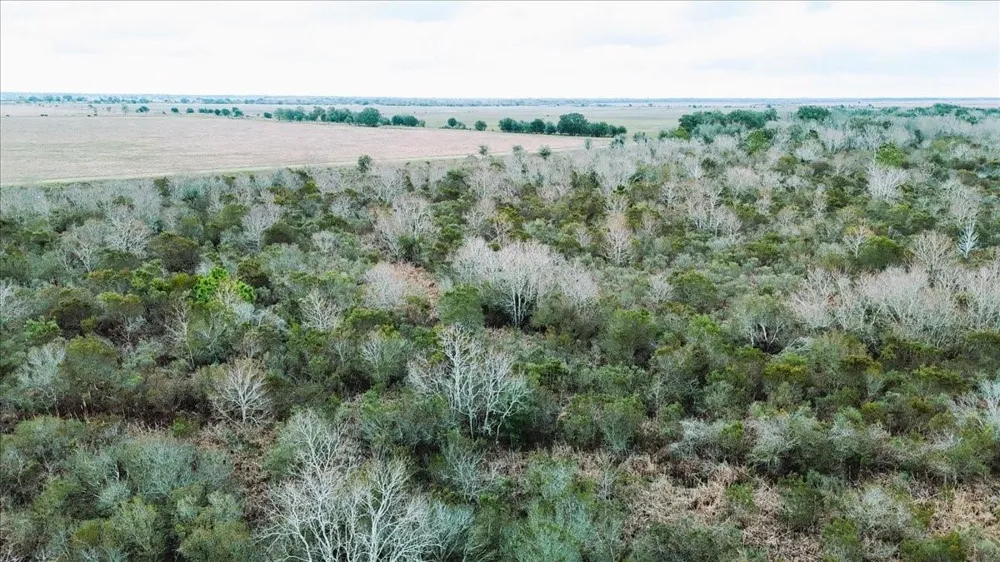 Hwy 124 Stowell, TX 77661
