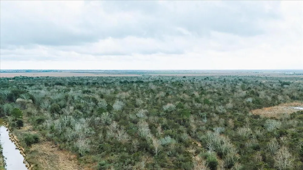 Hwy 124 Stowell, TX 77661