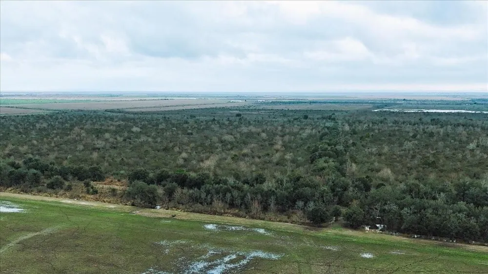 Hwy 124 Stowell, TX 77661