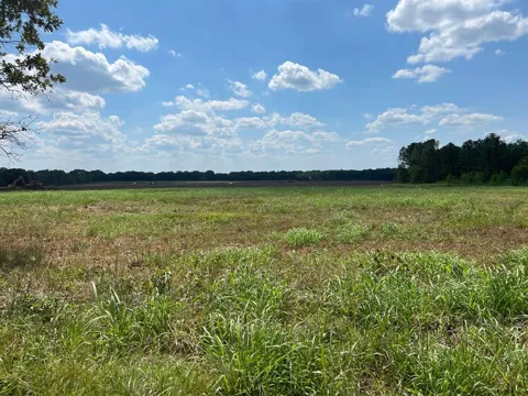 332 County Road 1290