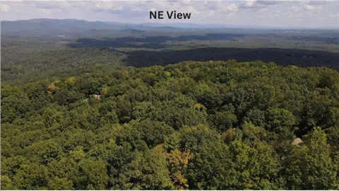 68 Wood Fern Knoll
