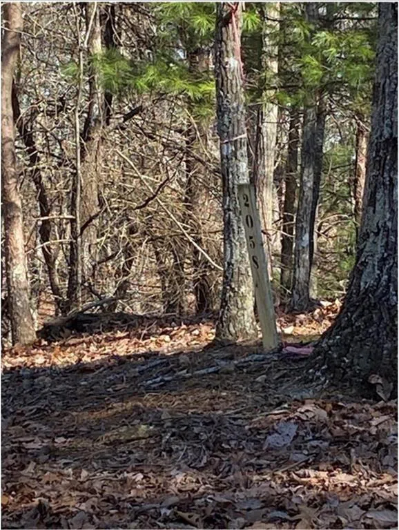 68 Wood Fern Knoll Big Canoe, GA 30143