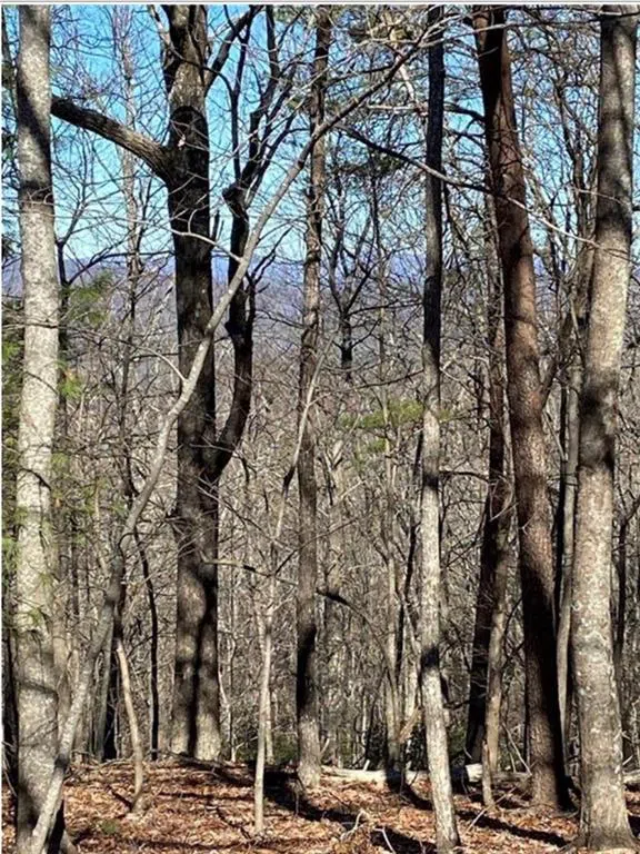 68 Wood Fern Knoll Big Canoe, GA 30143