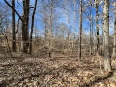 0 Old Tobaccoport Rd