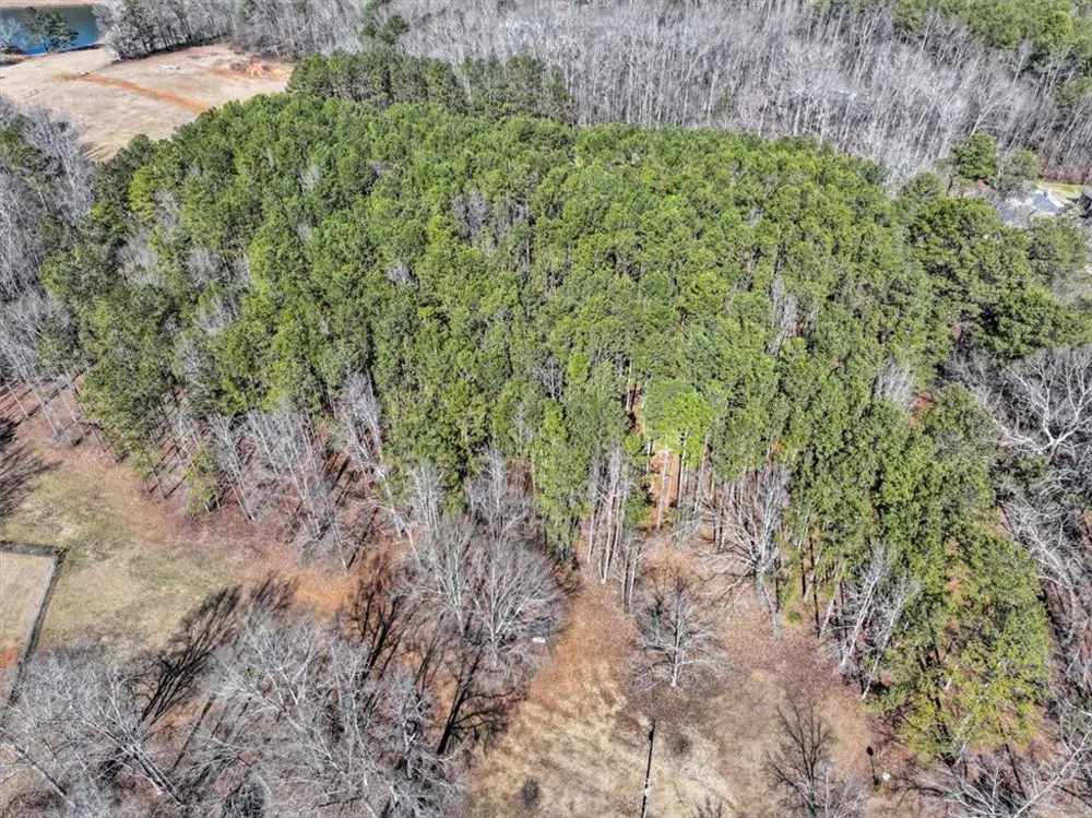 1891 HIGHWAY 81 E McDonough, GA 30252