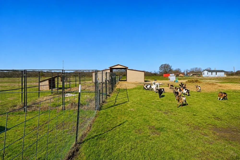 1634 Fm 1529 Cooper, TX 75432
