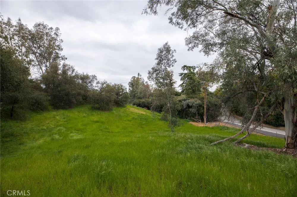 1702 Dwight Street Redlands, CA 92373
