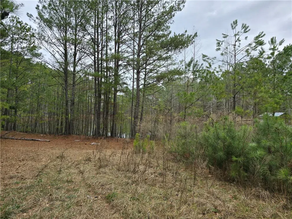 3016 Loganville Highway Loganville, GA 30052