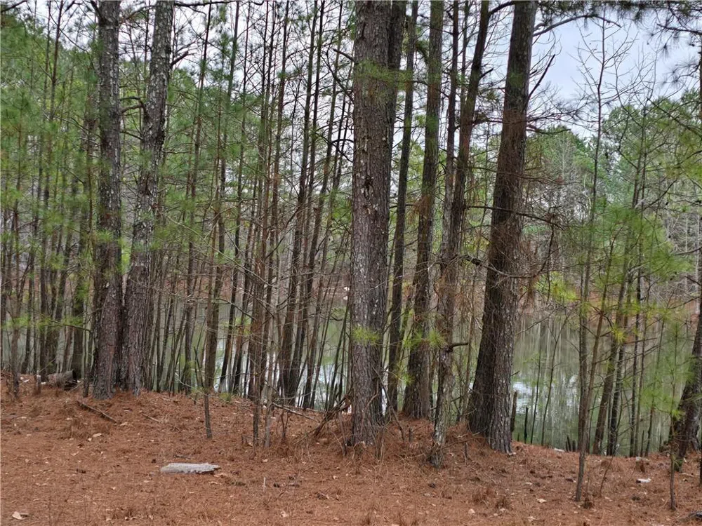3016 Loganville Highway Loganville, GA 30052